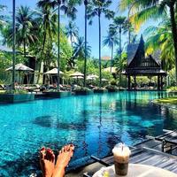 Отзыв от Тамара - Виза Destination Thailand